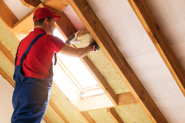 Best Batt and Roll Insulation  in Meadow Lake, NM